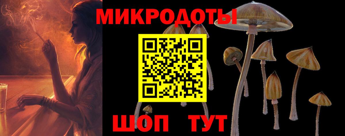 Псилоцибиновые грибы Psilocybine cubensis Ялуторовск